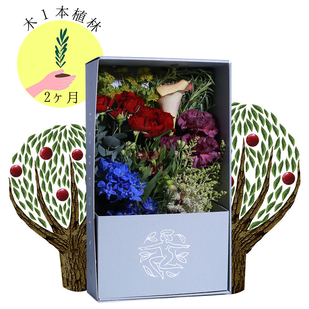 Foresty Bloom Plan フォレスティ ブルームプラン お花のサブスク定期便